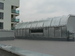 P1090184.JPG